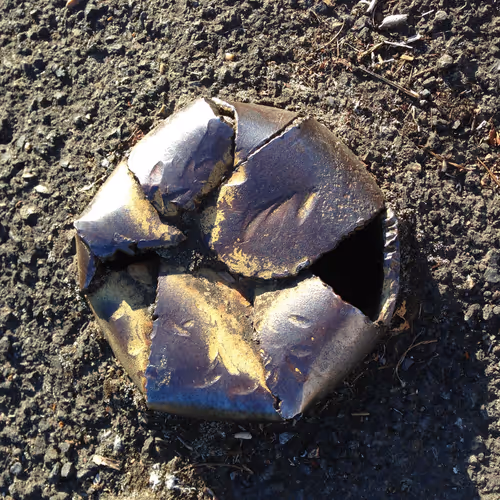 PDXpoles:  A project by smallforest