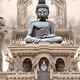 PEACE FOR ALL BEINGS