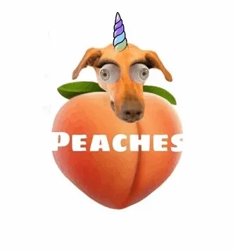 Peaches the Dog Model