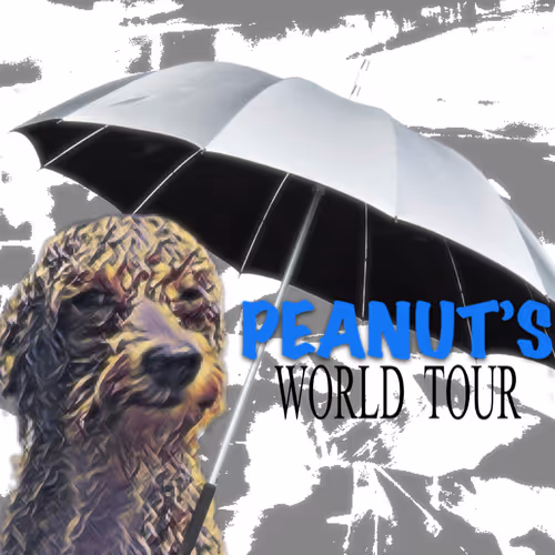 Peanut's World Tour