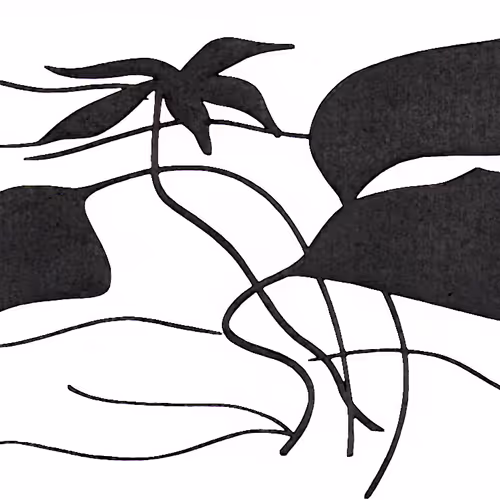 Pen & ink By Natalia Taranenko