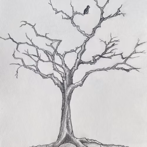 Pencil and Ink illustrations