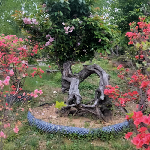 pengjing