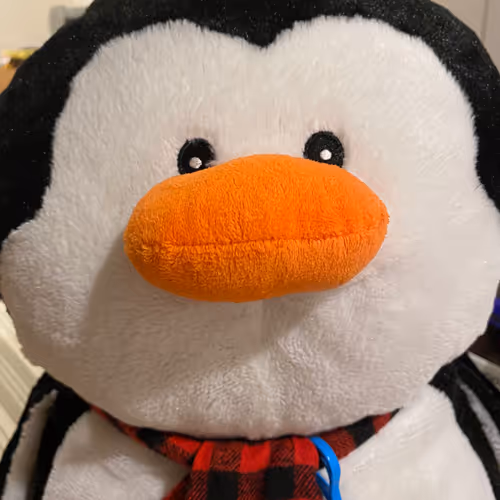 Penguins Can Fly