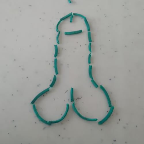 Penis outline