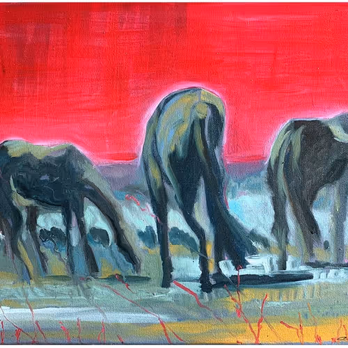 The Pentland Horse Collection