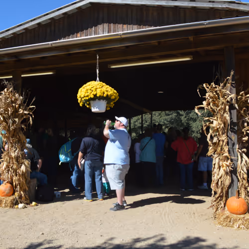 People Waiting to ride the wagon