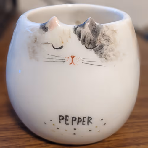 Pepper Salt