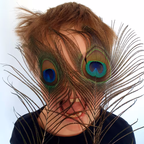 Percep-tion Art & Photography