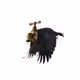 Percep-tion: Weird Animal Club