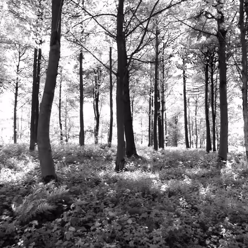 my perception of life through artistic surrounding