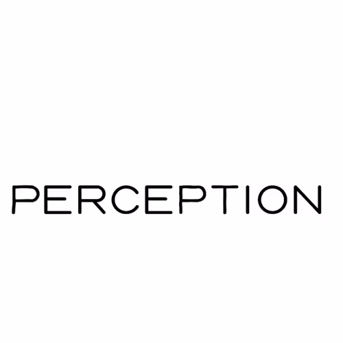Perception - Vp7oU0gmis