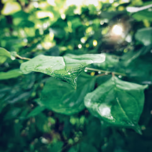 Perception. Your own view.