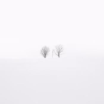 Perennial - old