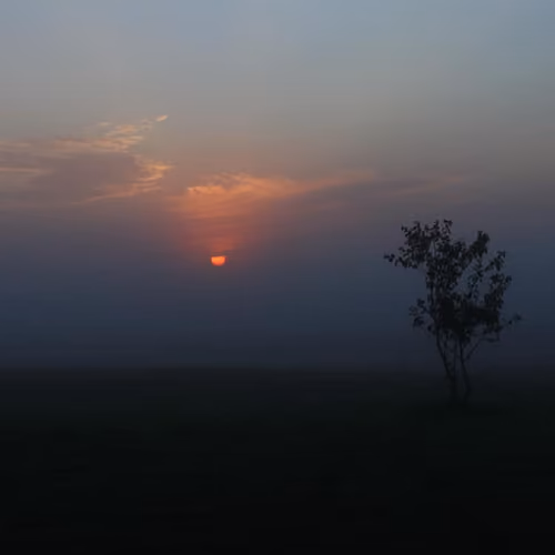 perfect natures