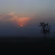perfect natures