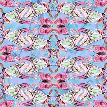 Perfection of butterflies