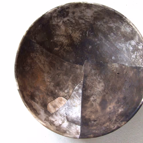 Performance Art NFTeve