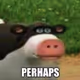 perhapss