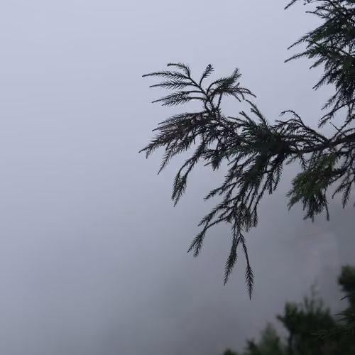 Personal photography