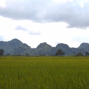 Perspective at thailand.