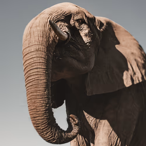 Perspectives of Life