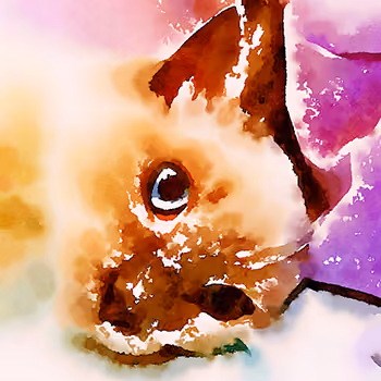 Pet Art NFTs