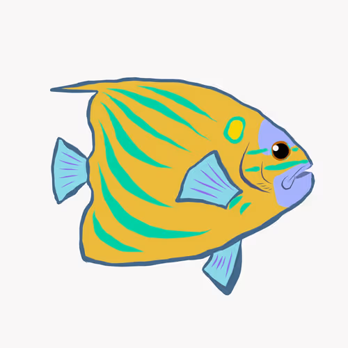 Pet fish