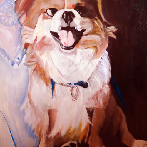 Pet-Shop