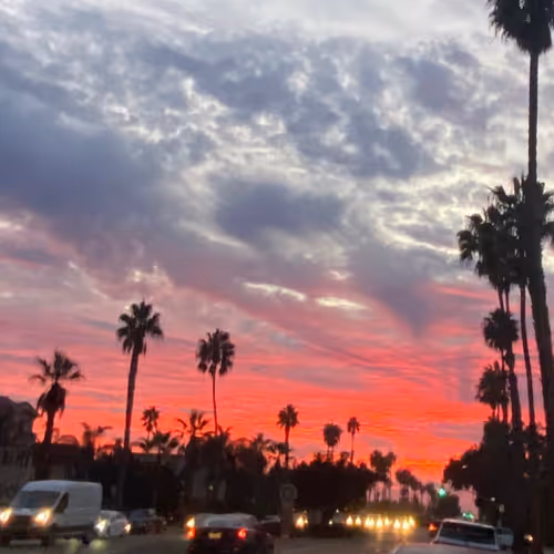 Peter Grazul IG post NFTs