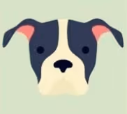 PETS COLLECTIBLES WEIRDO