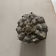 Peyote