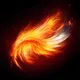 Phoenix Fan Art