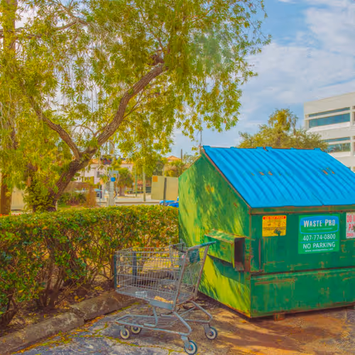 Photo A Day 2026 by David Lawrence