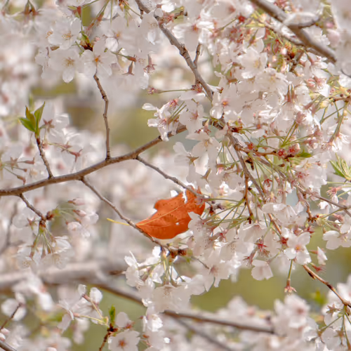 Photo in Japan by RYO