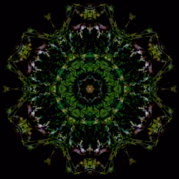 Photo kaleidoscope