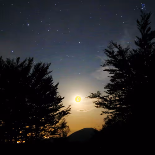 Btc tribute Collection