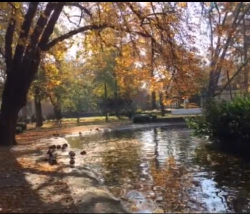 Photograph Art Collection