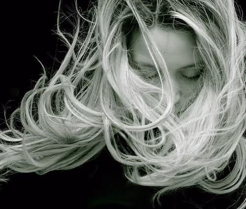 Photographer's Archive