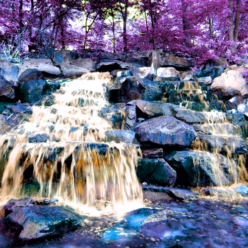 Photographic Delight from Natures Finest