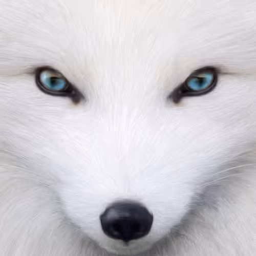 Photographs of the World by The Ashen Fox