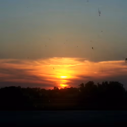 photography - 03mc6lt4RU