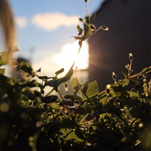 Photography & A.C.A
