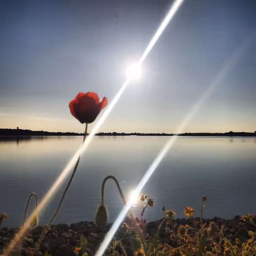 PhotographyByJeremiahBaudrie