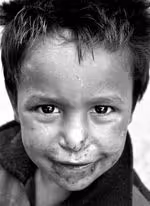 Photography Collection by Zofu Art