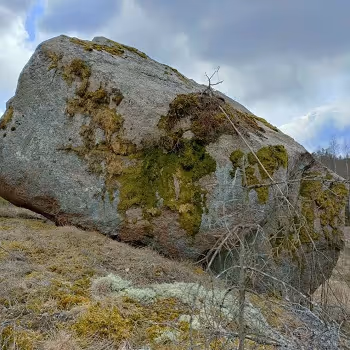 Photography on my android