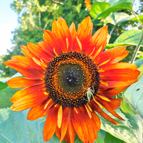 Photography Painting Artworks