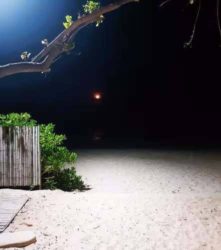 Moments of Magic - Photography - RareRandomness