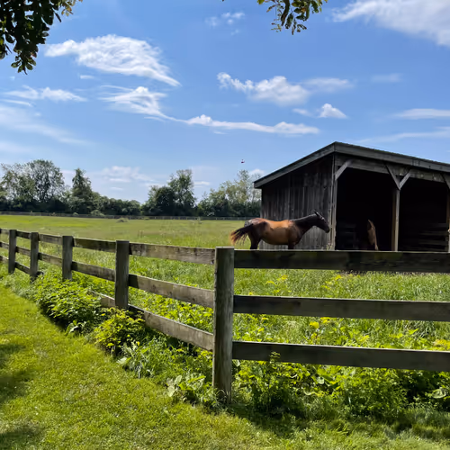 Photography Stills 1/1 - old