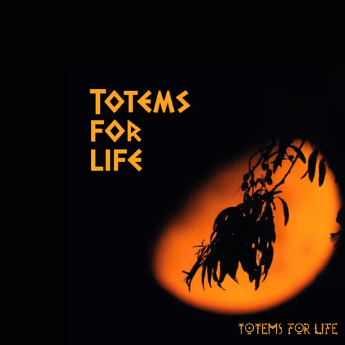 photographic totems of fire